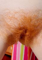 Amateur model Nico shows off her fluffy red bush, Nico Kelley (nic068) ATK Natural & Hairy: Nico Kelley (Amateur model Nico shows off her fluffy red bush)