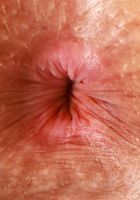 Nico Luva invites you to come a little closer, Nicole Luva (nic101) ATK Exotics: Nicole Luva (Nico Luva invites you to come a little closer)