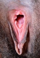 Olivia Green in exotic and hairy, Olivia Green (oli032) ATK Natural & Hairy: Olivia Green (Olivia Green in exotic and hairy)