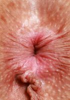 Ophelia Fae from ATK Galleria