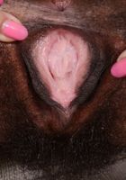Oya spreads her pussy, Oya (oya001) ATK Natural & Hairy: Oya (Oya spreads her pussy)