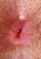 Pearl Sage from ATK Natural & Hairy