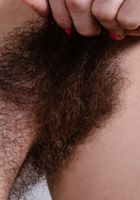 Pearl Sage from ATK Natural & Hairy