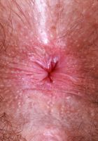 Pearl Sage from ATK Natural & Hairy