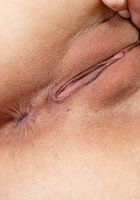 Penelope Reed in latinas, Penelope Reed (pen027) ATK Exotics: Penelope Reed (Penelope Reed in latinas)