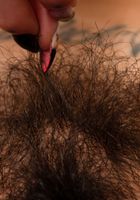 Penelope Reed in exotic and hairy, Penelope Reed (pen027) ATK Natural & Hairy: Penelope Reed (Penelope Reed in exotic and hairy)