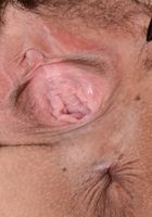 Penelope Reed in exotic and hairy, Penelope Reed (pen027) ATK Petites: Penelope Reed (Penelope Reed in exotic and hairy)