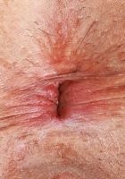 Penelope Reed Shows Off Her Gorgeous Body, Penelope Reed (pen027) ATK Natural & Hairy: Penelope Reed (Penelope Reed Shows Off Her Gorgeous Body)