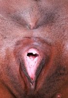 Poppy Cox from ATK Exotics