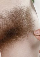 Quinn Helix in young and hairy, Quinn Helix (qui007) ATK Natural & Hairy: Quinn Helix (Quinn Helix in young and hairy)