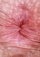 Remi Raw from ATK Petites