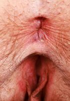 Riley Rose wants to be your pet, Riley Rose (ril021) ATK Petites: Riley Rose (Riley Rose wants to be your pet)