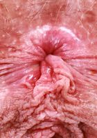 Sahara Skye from ATK Natural & Hairy