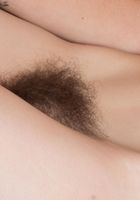 Sunshine from ATK Natural & Hairy