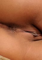 Sweet Mango in toys, Sweet Mango (swe006) ATK Exotics: Sweet Mango (Sweet Mango in toys)