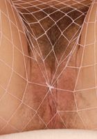 Tea in young and hairy, Tea (tea001) ATK Natural & Hairy: Tea (Tea in young and hairy)