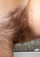 Terry in young and hairy, Terry (ter052) ATK Natural & Hairy: Terry (Terry in young and hairy)