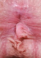 Venus Vixen Strip and Spread, Venus Vixen (ven021) ATK Petites: Venus Vixen (Venus Vixen Strip and Spread)