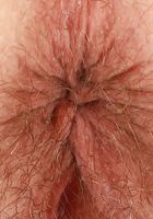 Veronica Rose Big Spreads, Veronica Rose (ver108) ATK Natural & Hairy: Veronica Rose (Veronica Rose Big Spreads)
