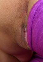 Yanikcia in latinas, Yanikcia (yan005) ATK Exotics: Yanikcia (Yanikcia in latinas)