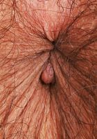 Zoey Jpeg Green Lingerie Strip, Zoey Jpeg (zoe049) ATK Natural & Hairy: Zoey Jpeg (Zoey Jpeg Green Lingerie Strip)